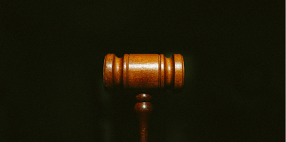 Notice on Issuing the   "2025 Intellectual Property Administrative Protection Work Plan"